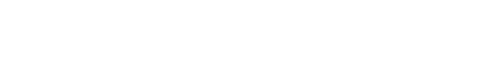 LaSi - Shop            Ladungssicherung weltweit 